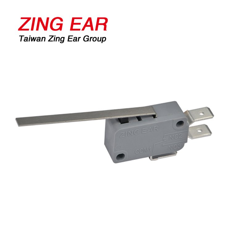 G5T22-C1Z100A03 SPDT 100gf Far From Pin Plunger Long Straight Lever Basic Snap Action Micro Switch