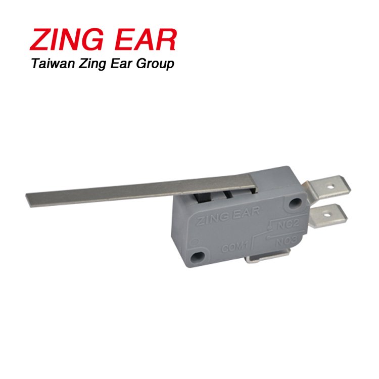 G5T22-C1Z100A03 Basic Snap Action Switch Long micro switch