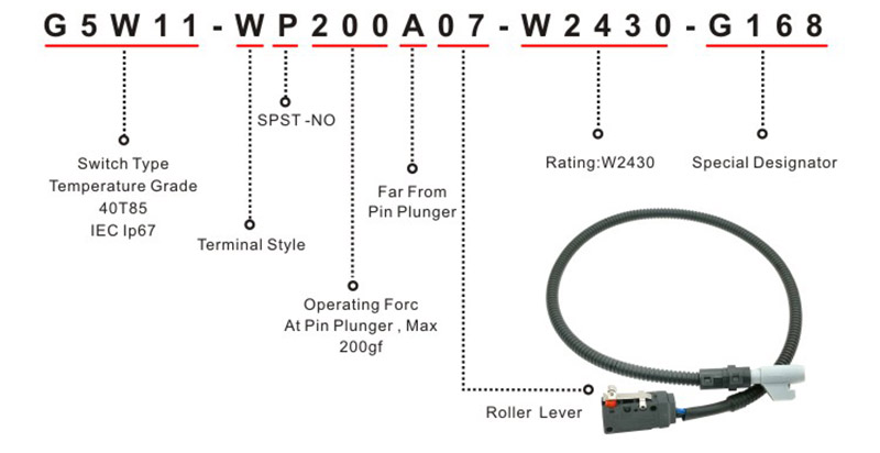 G5W11-WP200A07-W2430-G168 micro switch item