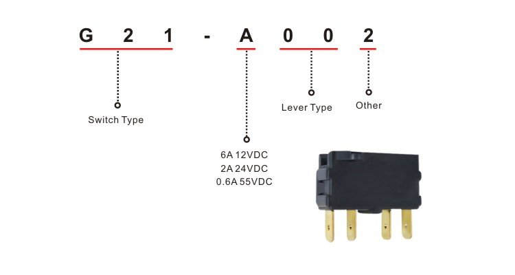 G21-A002 (9) DPDT Bistable Micro Switch