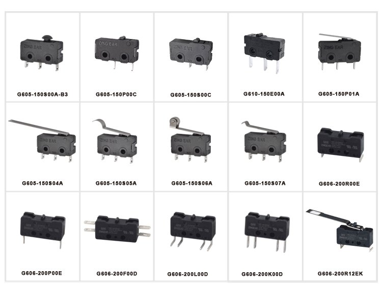 double pole microswitch