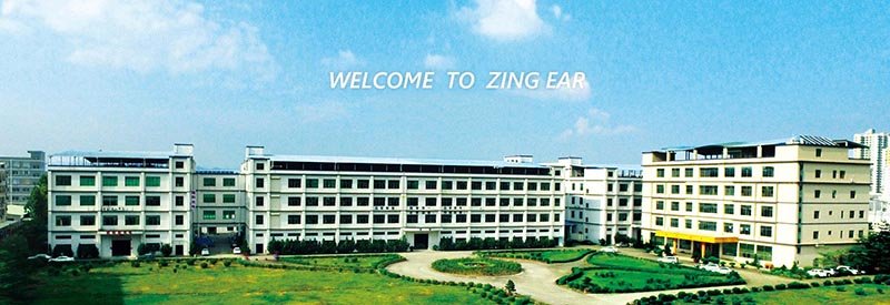 Zing Ear Micro Switch