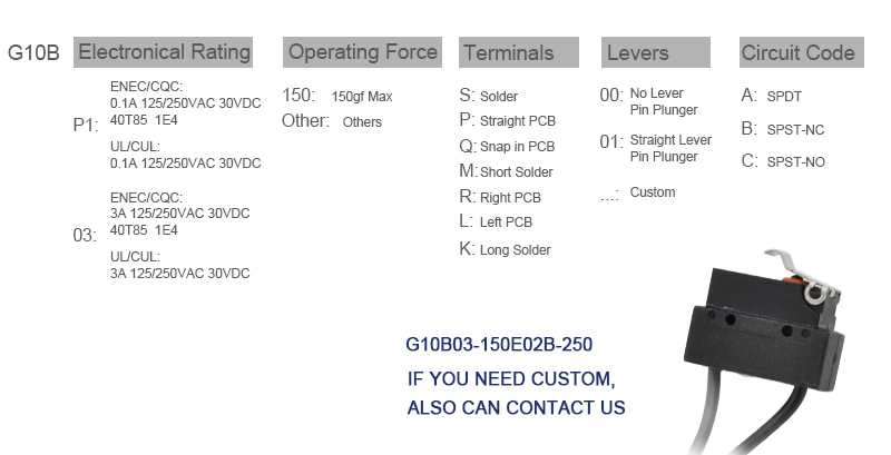 G10B IP67 micro switch