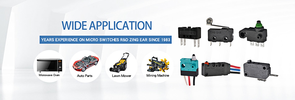 Micro Switch 25 micro switch types