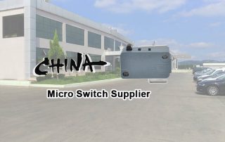 china micro switch supplier 2