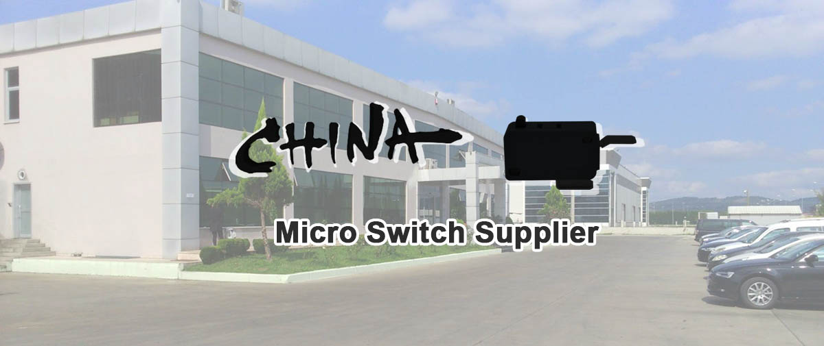 micro switch supplier