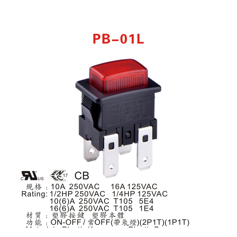 Push Button Electrical Switch 2T1T 1P1T with neon light (3)