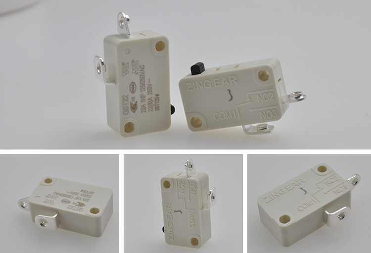 21 Amp Micro Switch photos