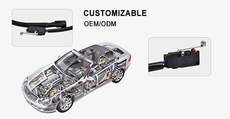 Wiring Harness Microswitch application