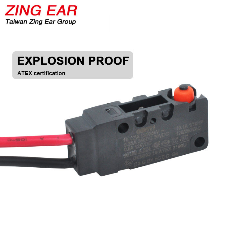 Explosion Proof Micro Switch with IP 67 Waterproof 10A (1)
