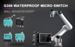 G306 waterproof micro switch