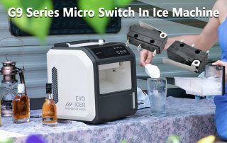 G9 Series Micro Switch