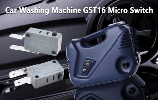 G5T16 Micro Switch