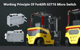 G5T16 Micro Switch