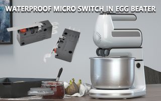 Waterproof Micro Switch