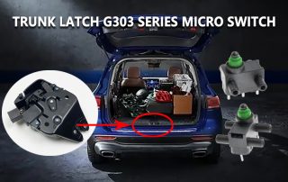 G303 Series Micro Switch