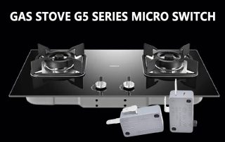 G5 Series Micro Switch