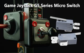 G5 Series Micro Switch